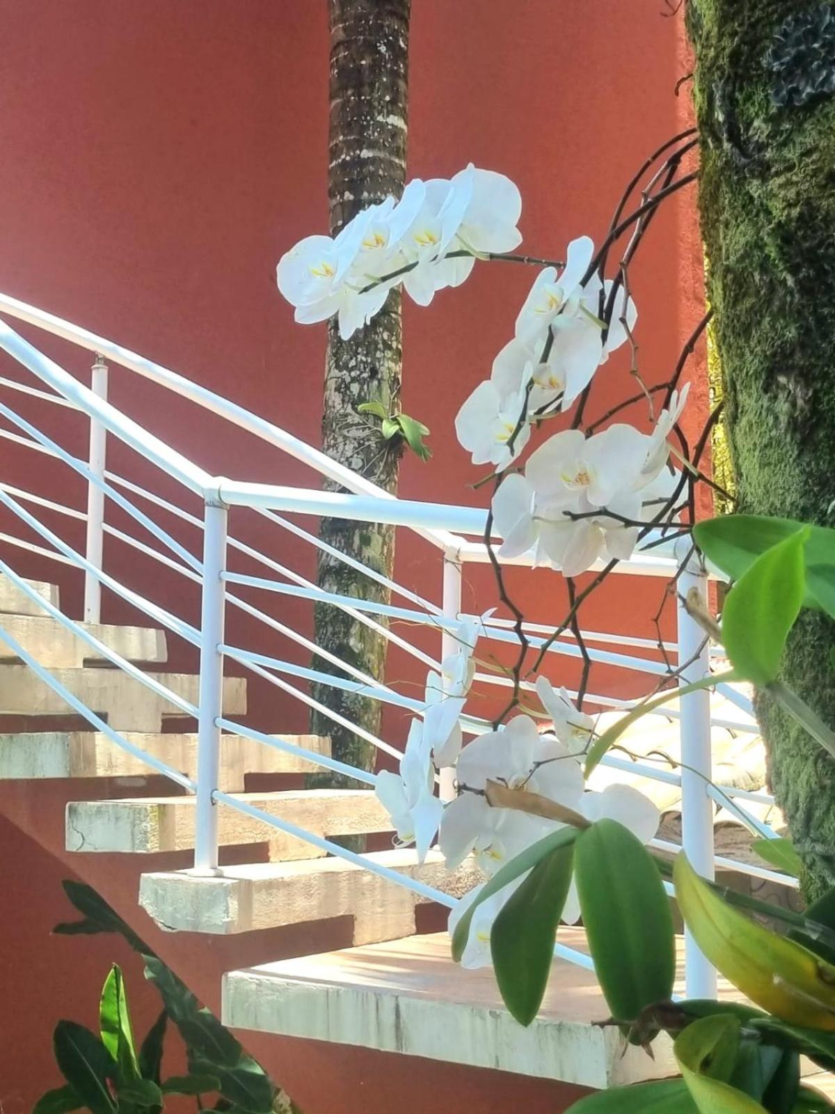 Pousada Vila Jabutis Guaruja Luaran gambar